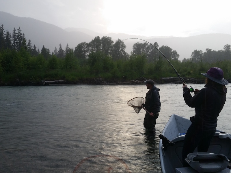 Chinook Salmon Fishing 2017